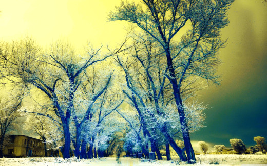 231582 (a): :2048x1280